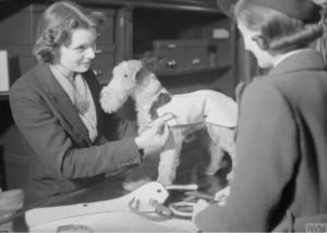Selfridges Wartime Products | Oxford Street